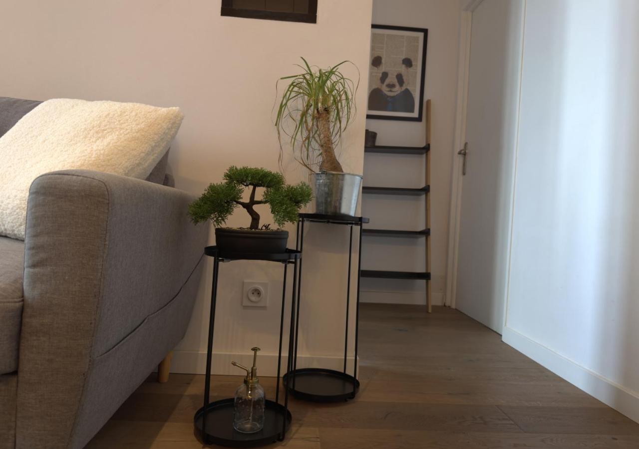 French Loft - Central & Comfy Annecy Buitenkant foto